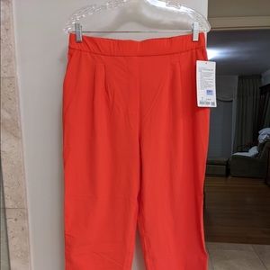 Lulu lemon pant